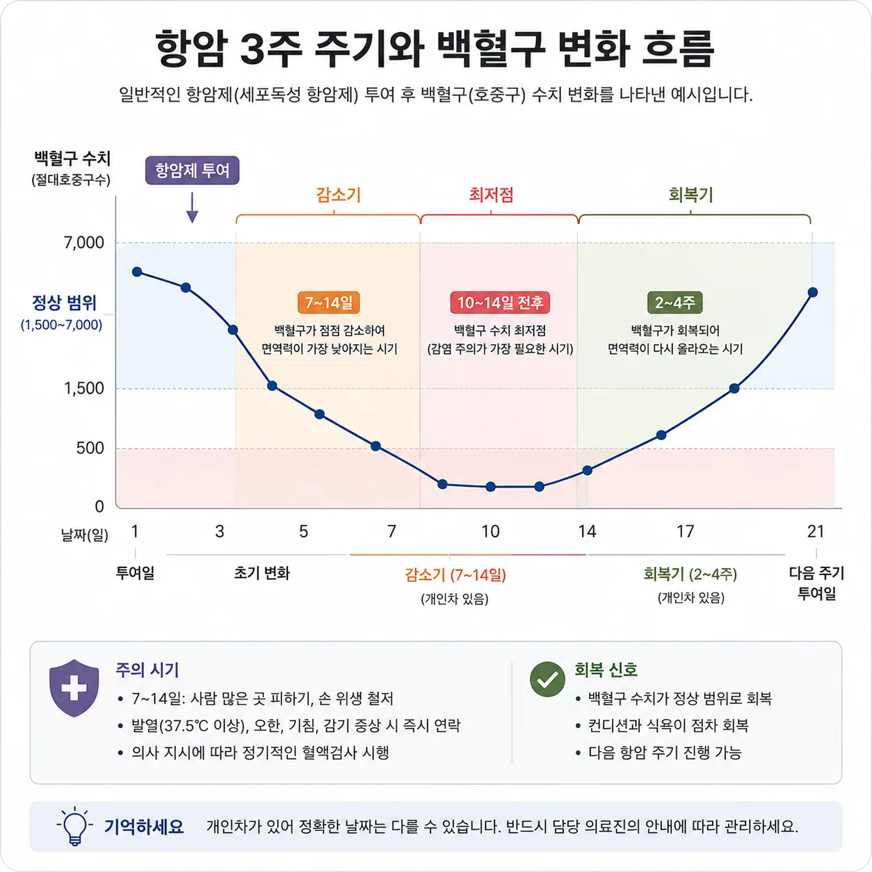 항암제 투여 후 7~14일 사이 백혈구 수치가 가장 낮아지고 2~4주 사이 회복되는 흐름