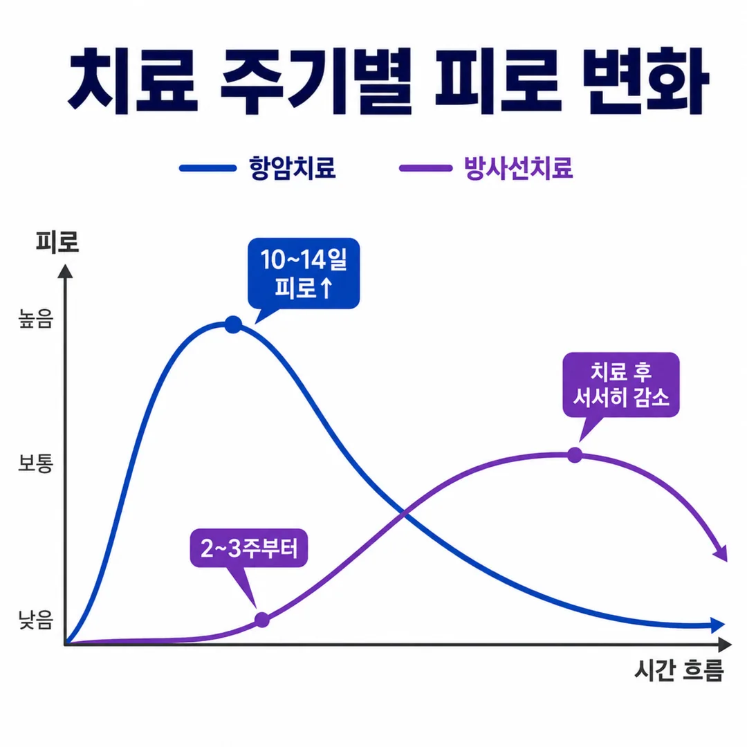 치료 주기에 따른 암성 피로 변화 그래프